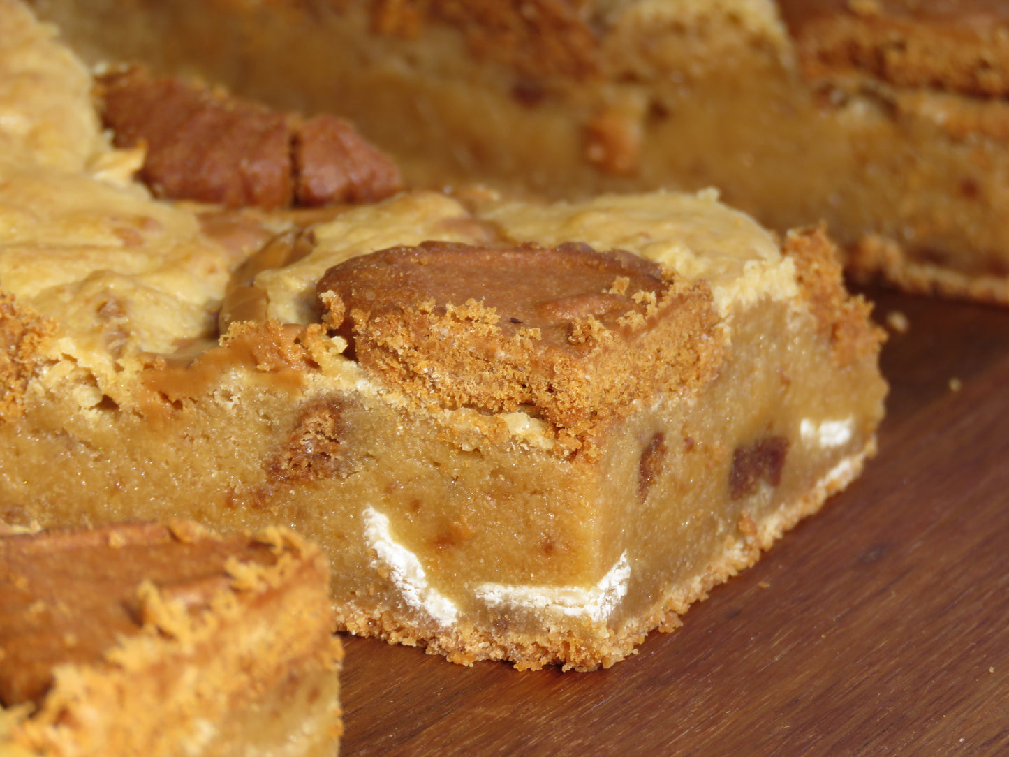 Biscoff Cheesecake Blondies