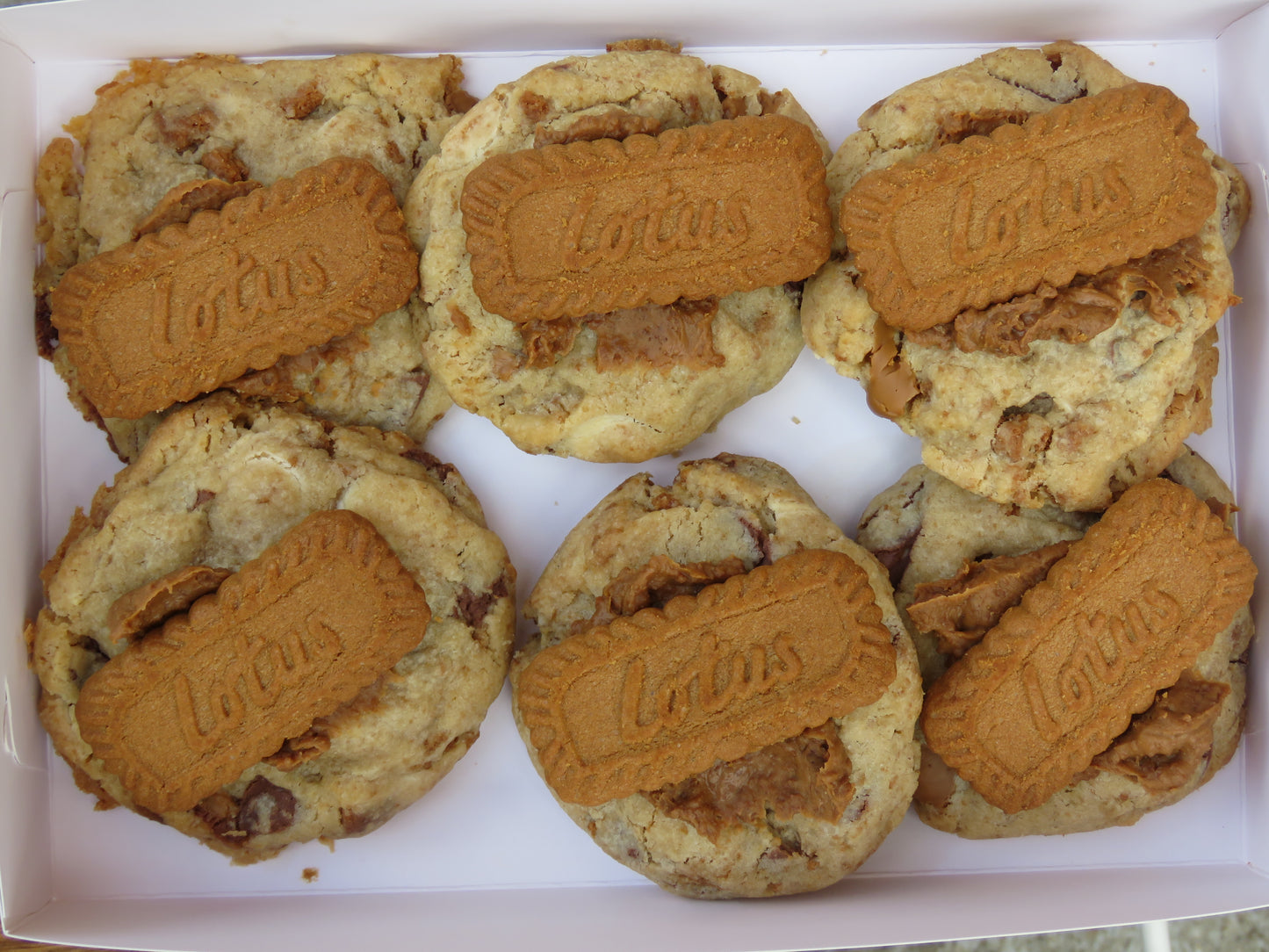 Biscoff Cookies 6 Pack